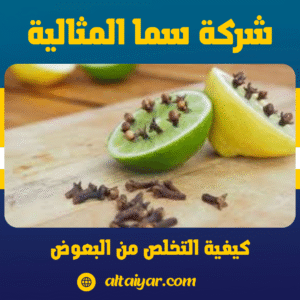 كيفية التخلص من البعوض