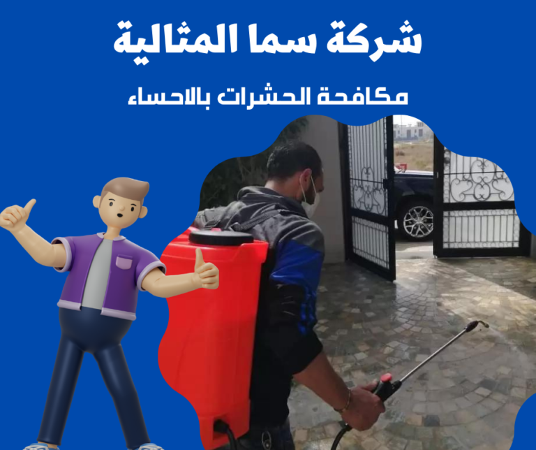 شركة مكافحة حشرات بالاحساء