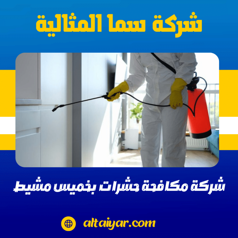 شركة مكافحة حشرات بخميس مشيط