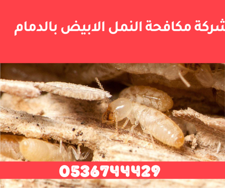 شركة مكافحة النمل الابيض بالدمام 0536744429 رش الدفان و مكافحة الارضة بالدمام