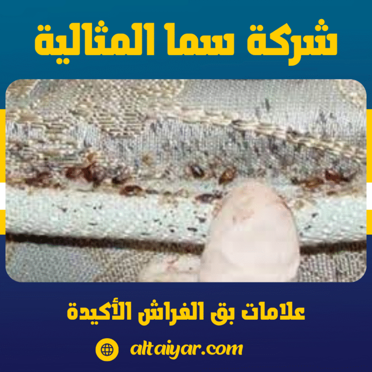 علامات بق الفراش الأكيدة