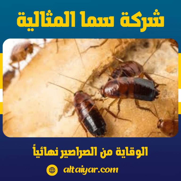 الوقاية من الصراصير نهائياً