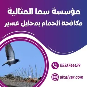 شركة تركيب طارد الحمام بمحايل عسير