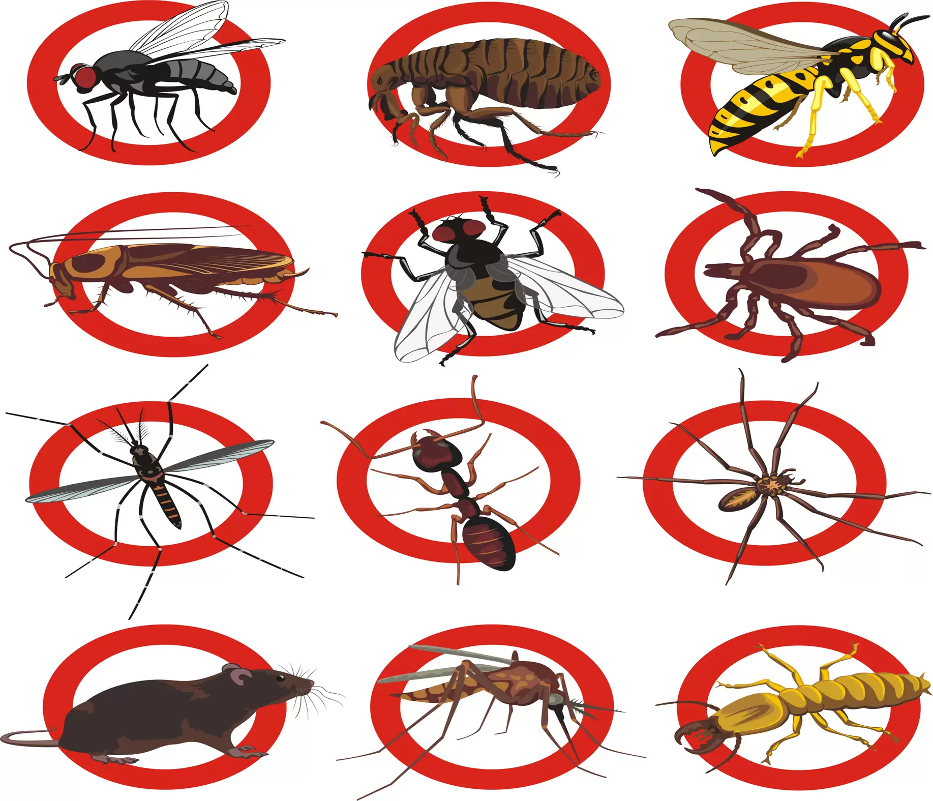 اقوى الحلول للتخلص من الحشرات المنزليه بكل انواعها