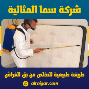 طريقة طبيعية للتخلص من بق الفراش طريقة طبيعية للتخلص من بق الفراش
