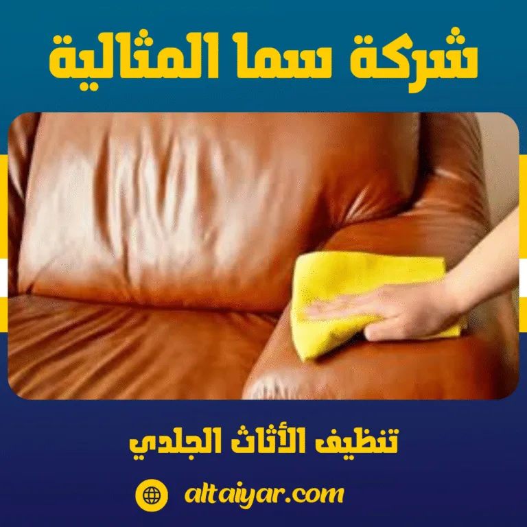 تنظيف الأثاث الجلدي