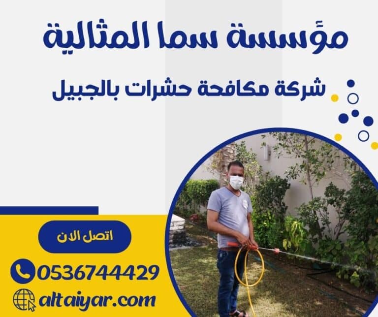 شركة مكافحة حشرات بالجبيل