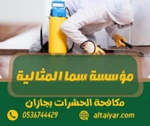 شركة مكافحة حشرات بجازان