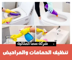 تنظيف الحمامات والمراحيض قبل عيد الأضحى المبارك: نصائح مهمة تنظيف الحمامات و المراحيض