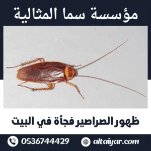ظهور الصراصير فجأة في البيت