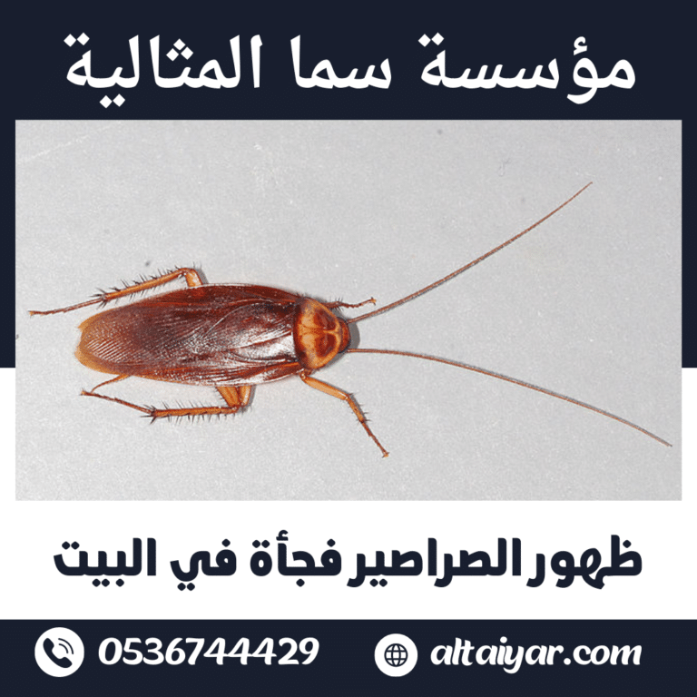 ظهور الصراصير فجأة في البيت