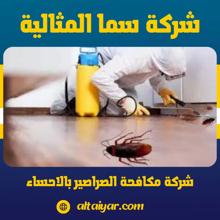 شركة مكافحة الصراصير بالاحساء