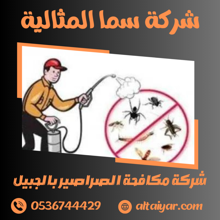 شركة مكافحة الصراصير بالجبيل