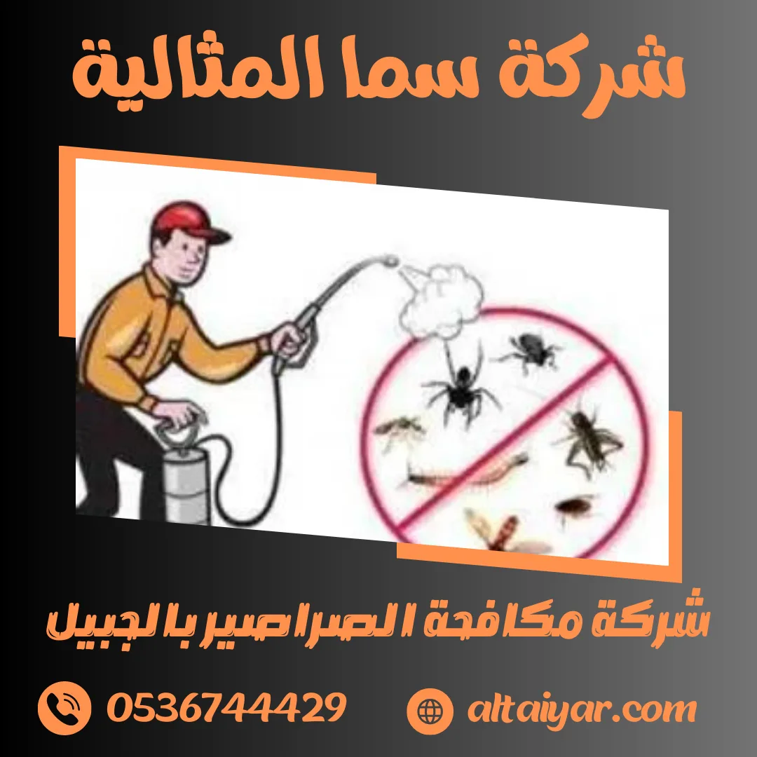 شركة مكافحة الصراصير بالجبيل