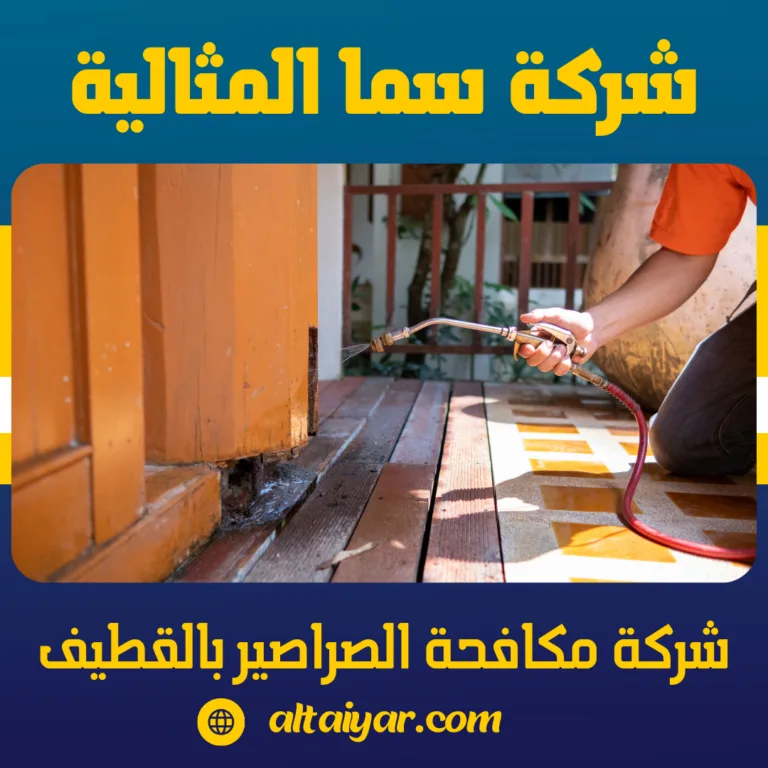 شركة مكافحة الصراصير بالقطيف