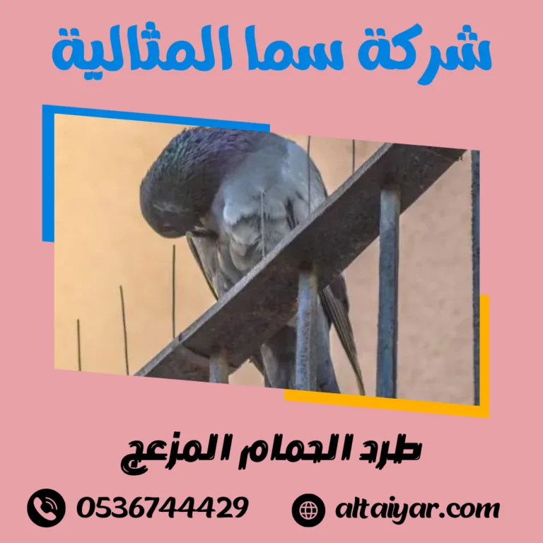 طرد الحمام المزعج