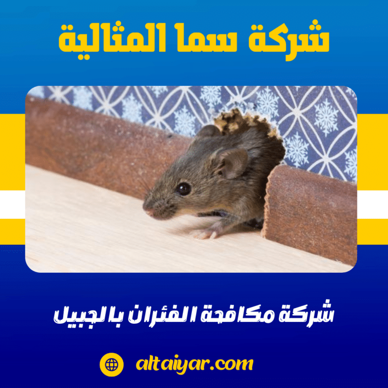 شركة مكافحة الفئران بالجبيل