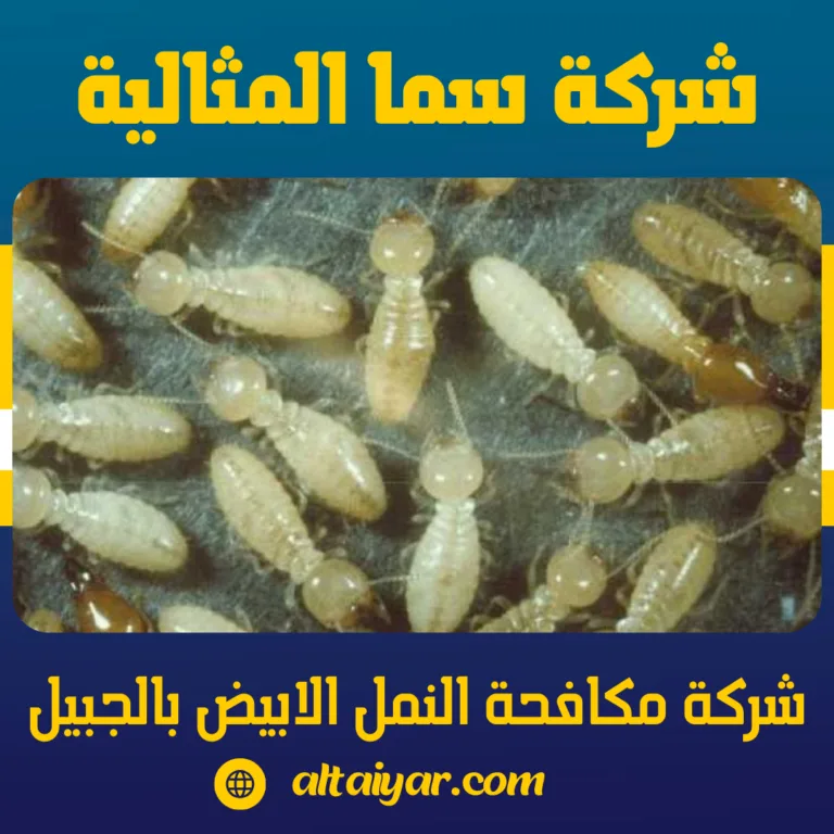 شركة مكافحة النمل الابيض بالجبيل