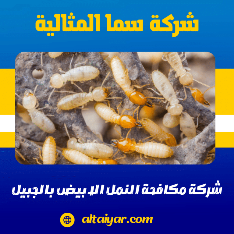 شركة مكافحة النمل الابيض بالجبيل 0536744429 رش الدفان ورش الارض قبل البناء