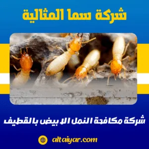 شركة مكافحة النمل الابيض بالقطيف