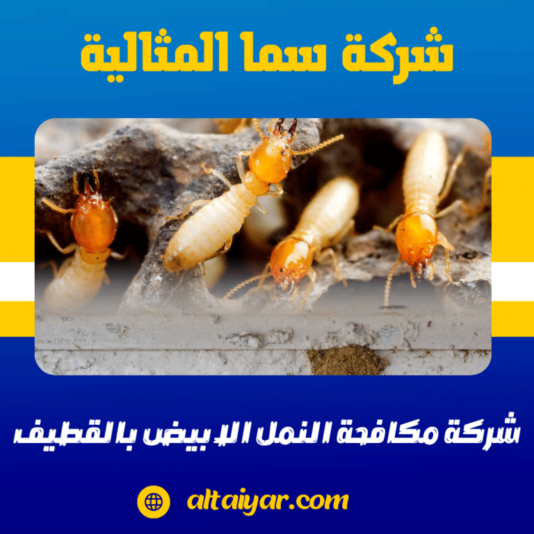 شركة مكافحة النمل الابيض بالقطيف 0536744429 رش النمل الابيض و الارضة بالقطيف