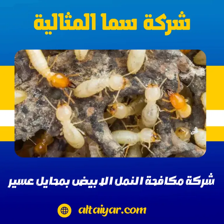 شركة مكافحة النمل الابيض بمحايل عسير