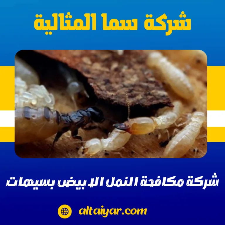 شركة مكافحة النمل الابيض بسيهات