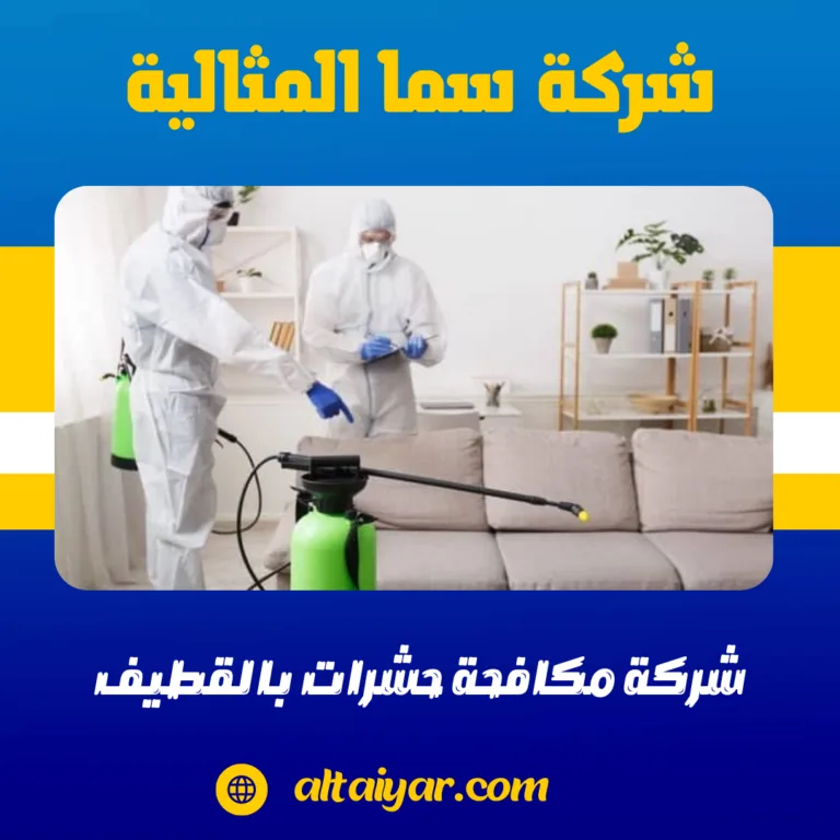 شركة مكافحة حشرات بالقطيف