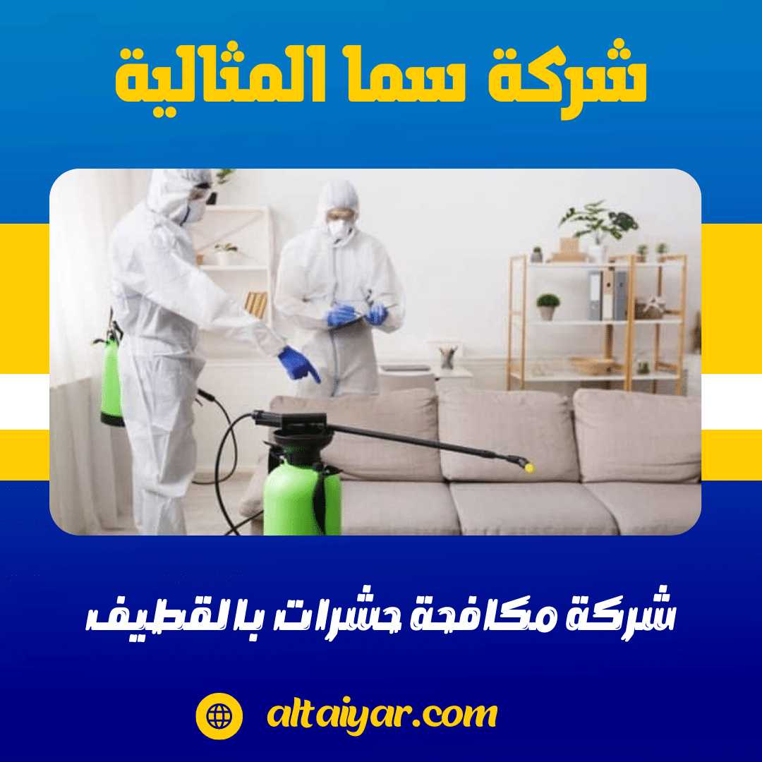 شركة مكافحة حشرات بالقطيف