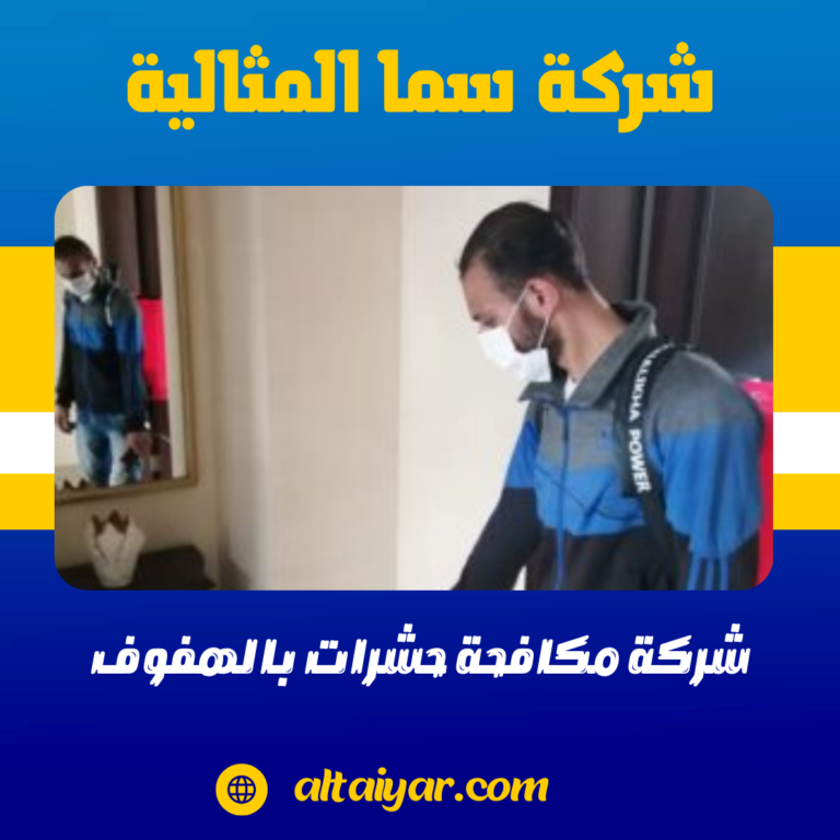 شركة مكافحة حشرات بالهفوف