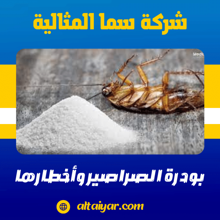 بودرة الصراصير وأخطارها