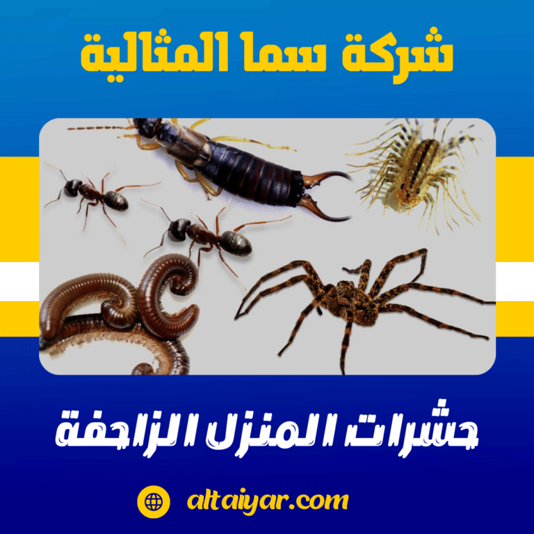 حشرات المنزل الزاحفة