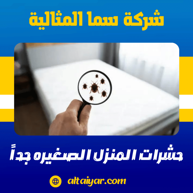 حشرات المنزل الصغيره جداً