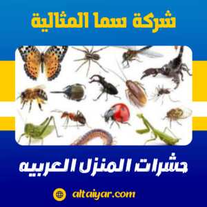 حشرات المنزل العربيه