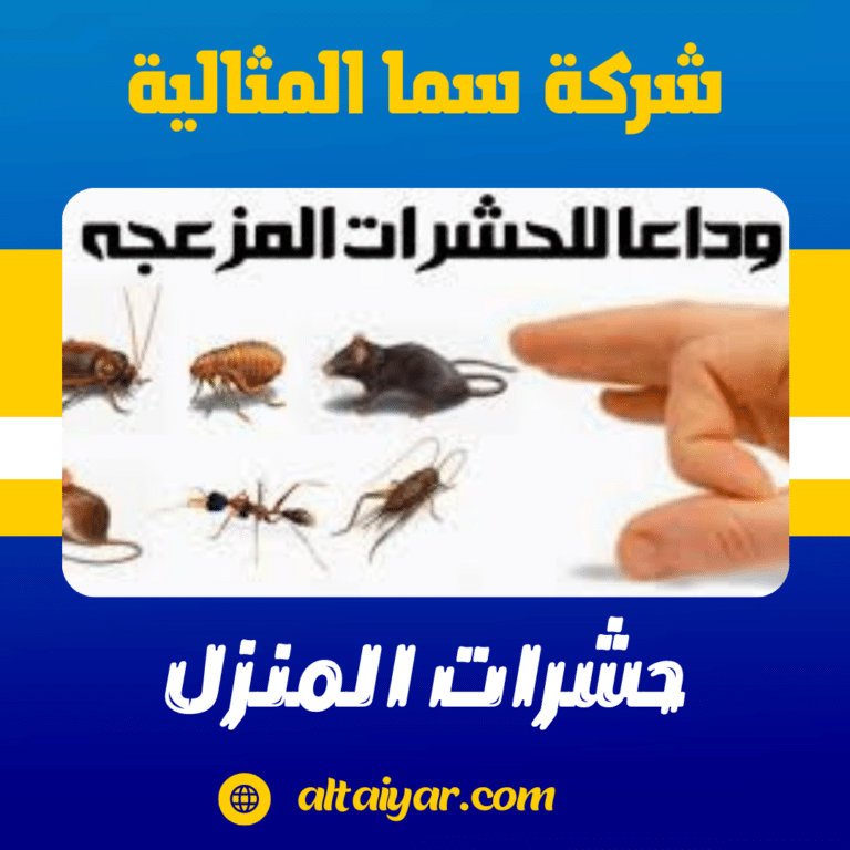 حشرات المنزل وكيفية مكافحتها