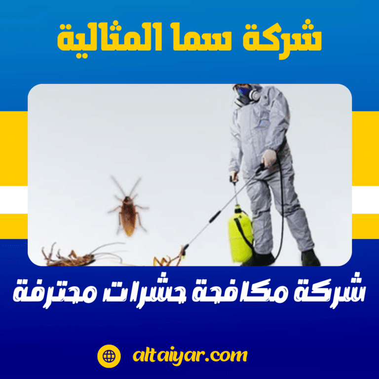 شركة مكافحة حشرات محترفة