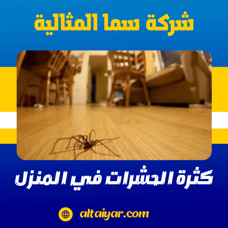 كثرة الحشرات في المنزل