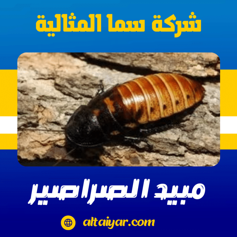 مبيد الصراصير