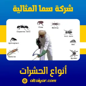 أنواع الحشرات