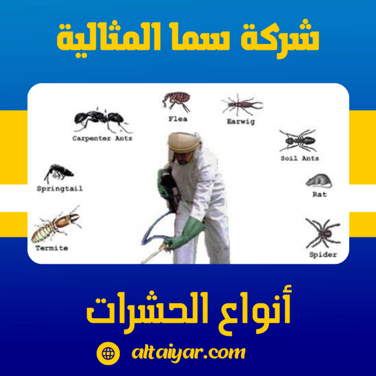 أنواع الحشرات