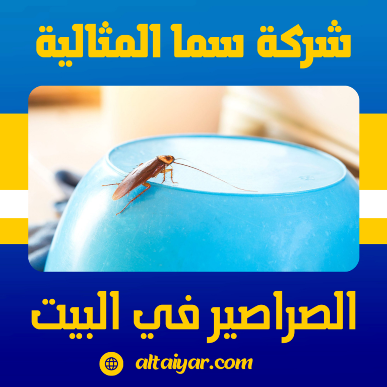 الصراصير في البيت