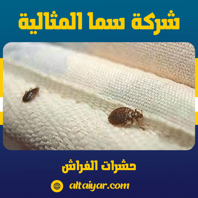 حشرات الفراش