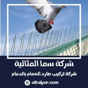 شركة تركيب طارد الحمام بالدمام