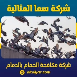 شركة مكافحة الحمام بالدمام