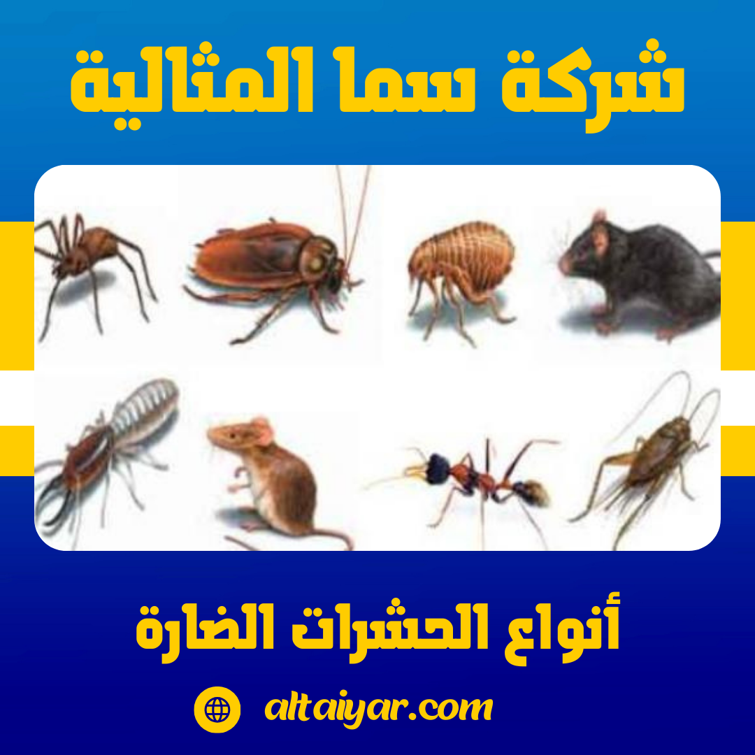 دليل شامل حول الحشرات الضارة