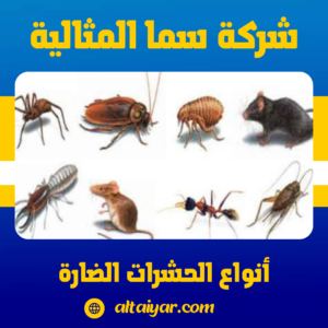 أنواع الحشرات الضارة