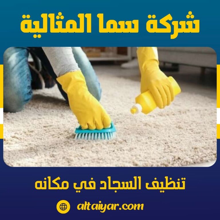 تنظيف السجاد في مكانه