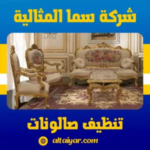 تنظيف صالونات