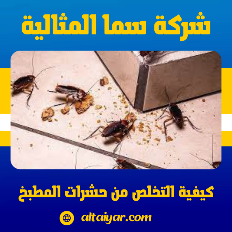 كيفية التخلص من حشرات المطبخ