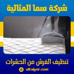 تنظيف الفرش من الحشرات تنظيف الفرش من الحشرات